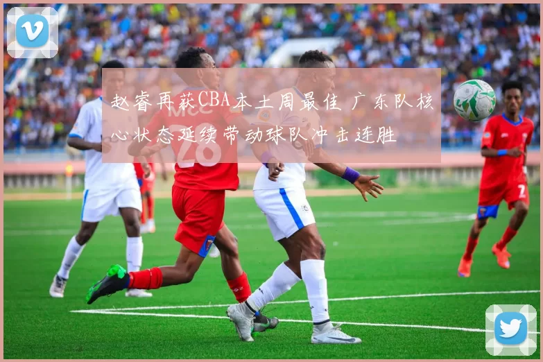 赵睿再获CBA本土周最佳 广东队核心状态延续带动球队冲击连胜