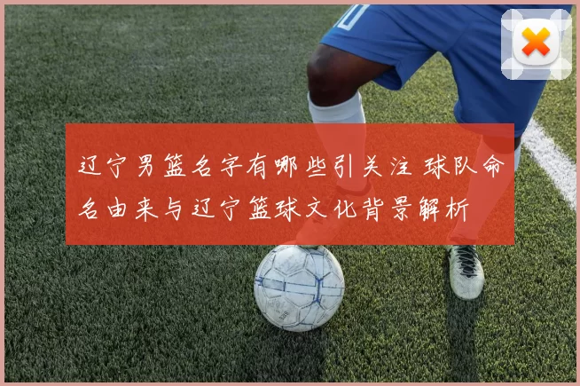 辽宁男篮名字有哪些引关注 球队命名由来与辽宁篮球文化背景解析