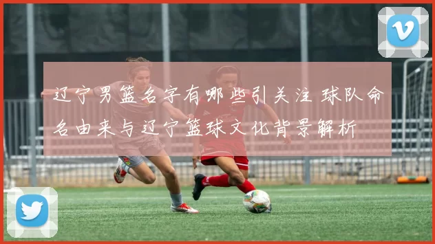 辽宁男篮名字有哪些引关注 球队命名由来与辽宁篮球文化背景解析